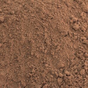 ARENA DE MIGUEL ALEMAN (SL)