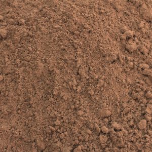 ARENA DE MIGUEL ALEMAN BOLSA