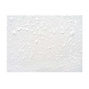 PLAFON TEXTUREY STD. .61X1.22 9.6MM (800197)