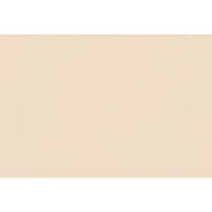MURO XICOTEPEC BEIGE 20.1X30.2 CM 1.82 M2 VITROMEX